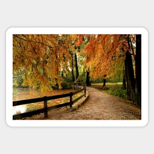 Autumn in the park Sticker